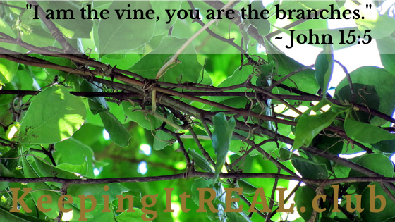 "I am the vine, you are the branches." John 15:5