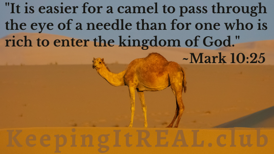 Image of a camel, standing in the desert.